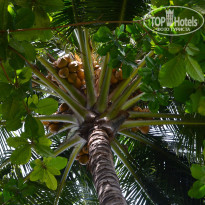 фото из отзыва ID 2742960