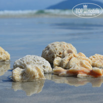 фото из отзыва ID 2742960