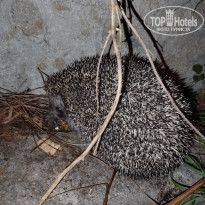 фото из отзыва ID 2742967