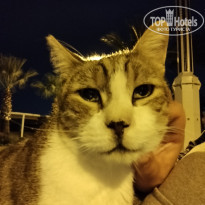 фото из отзыва ID 2742967