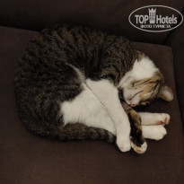 фото из отзыва ID 2742967