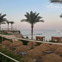 фото из отзыва ID 2743004