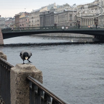 фото из отзыва ID 2743010