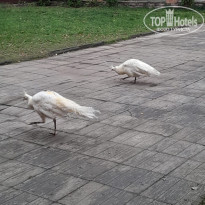 фото из отзыва ID 2743012