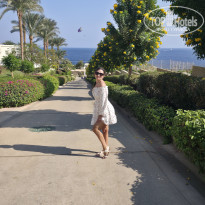 фото из отзыва ID 2743016