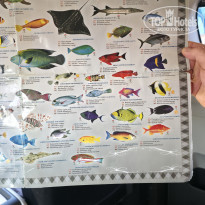 фото из отзыва ID 2743016