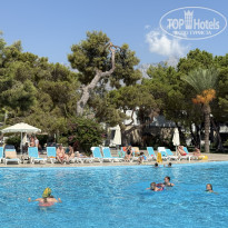 фото из отзыва ID 2742497