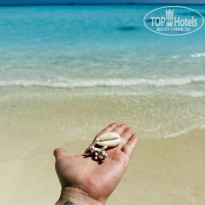 фото из отзыва ID 2743022