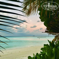 фото из отзыва ID 2743022