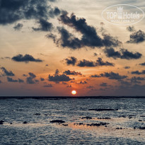 фото из отзыва ID 2743022