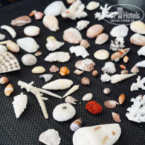 фото из отзыва ID 2743022