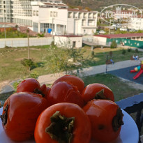 фото из отзыва ID 2743024