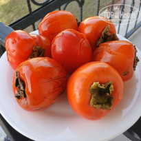 фото из отзыва ID 2743024