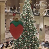 фото из отзыва ID 2743026