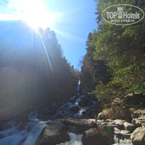 фото из отзыва ID 2743025