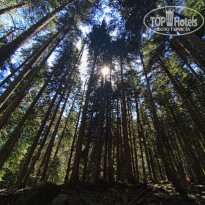 фото из отзыва ID 2743025