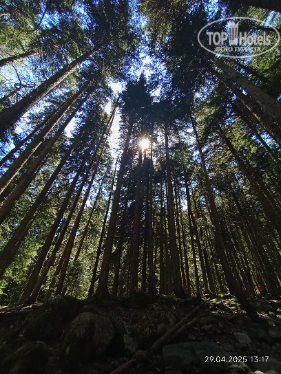 New photos from tourists Park-hotel Adrenalin 4*