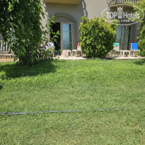 фото из отзыва ID 2743048