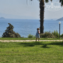 фото из отзыва ID 2743048