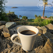 фото из отзыва ID 2743048