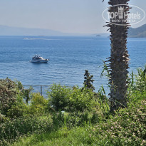 фото из отзыва ID 2743048