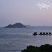 фото из отзыва ID 2743048