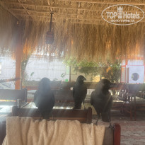 фото из отзыва ID 2743053