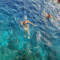 фото из отзыва ID 2743045