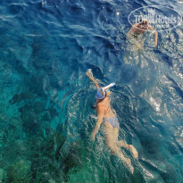 фото из отзыва ID 2743045