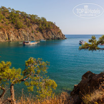 фото из отзыва ID 2743044