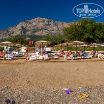 фото из отзыва ID 2743044