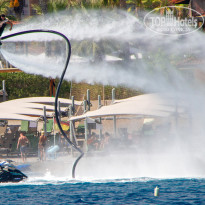 фото из отзыва ID 2743044