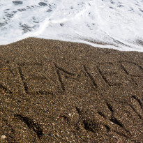 фото из отзыва ID 2743044