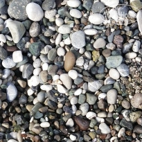 фото из отзыва ID 2741899