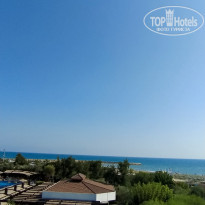 фото из отзыва ID 2741930