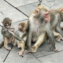 фото из отзыва ID 2743057