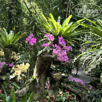 фото из отзыва ID 2743057