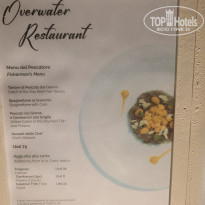 фото из отзыва ID 2743065