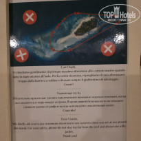 фото из отзыва ID 2743065