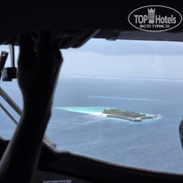 фото из отзыва ID 2743065