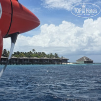 фото из отзыва ID 2743065