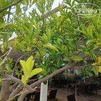 фото из отзыва ID 2743089