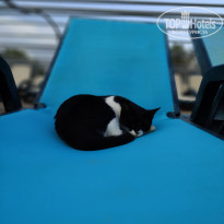 фото из отзыва ID 2743089