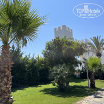 фото из отзыва ID 2743093