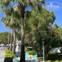 фото из отзыва ID 2743093