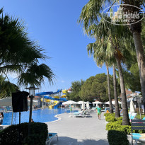 фото из отзыва ID 2743093