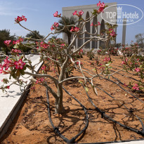 фото из отзыва ID 2743095