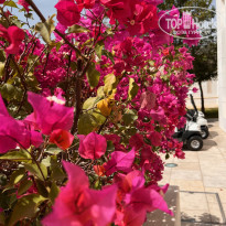 фото из отзыва ID 2743095