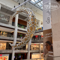 фото из отзыва ID 2743095