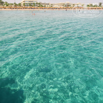 фото из отзыва ID 2743096